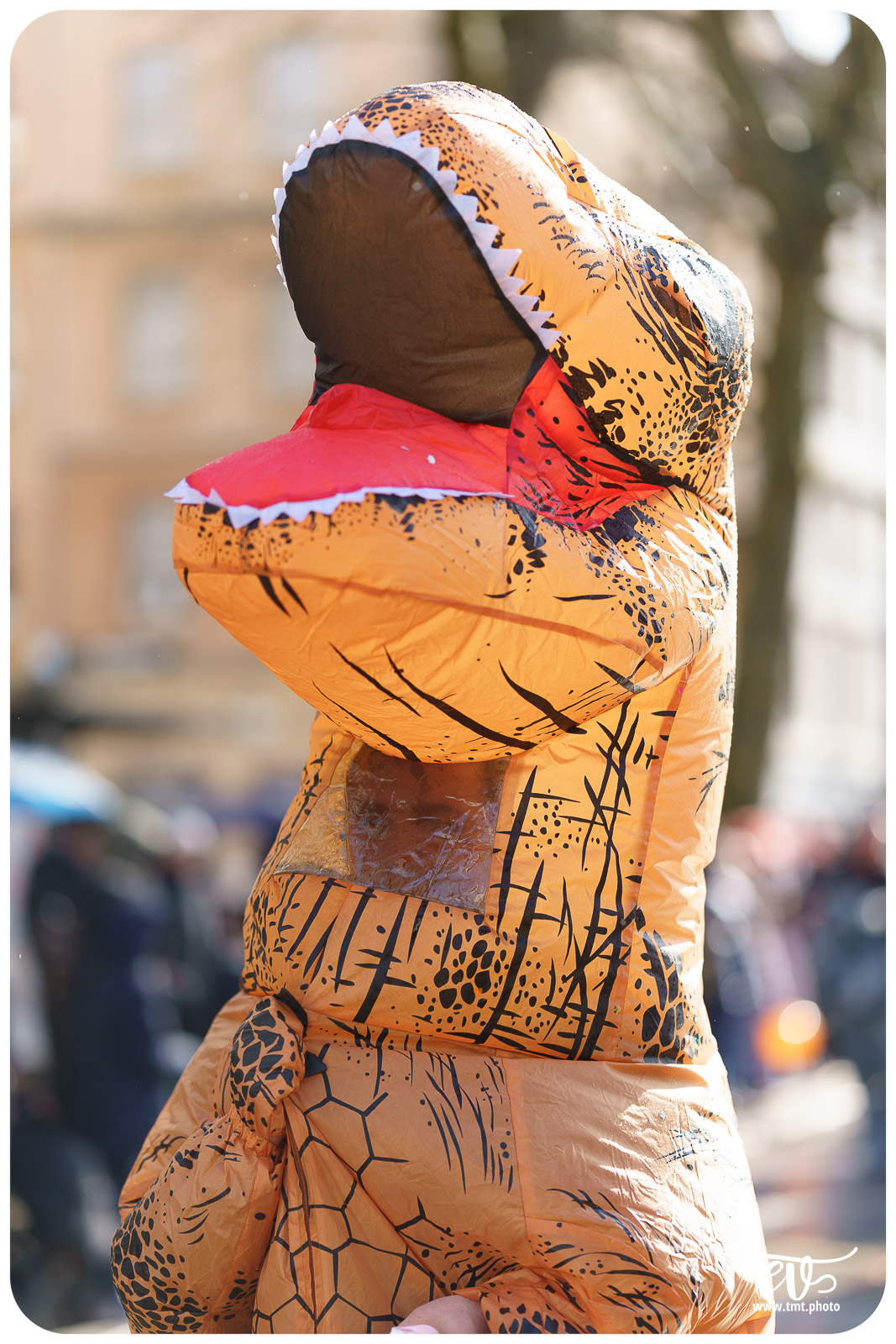 CARNAVAL DE STRASBOURG 2024